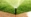 Image of a sprinkler watering the grass.