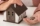 Image of a playhouse with a stack of coins in a hand.